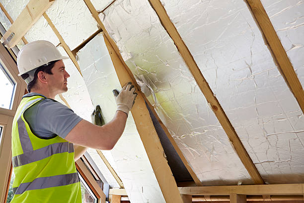 Best Eco-Friendly or Green Insulation Solutions  in Bogota, NJ